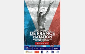 Championnat de France de Natation en petit bain 2014