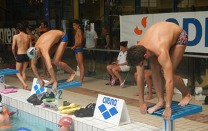 Nouveaux records club et Morbihan (50 m)