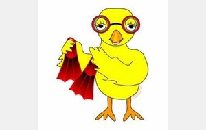 Finale Régionale Interclubs Poussins