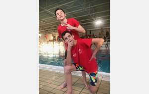 Yaouank plot 3 régional