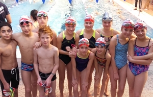 Yaouank plot 3 Departemental